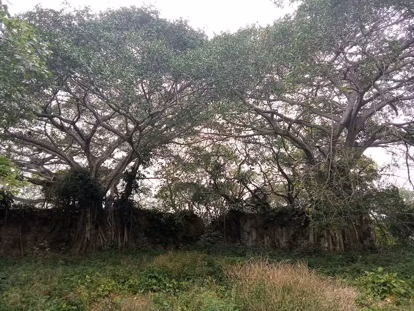 Capilla Miguel Agust&iacute;n Pro La Tinaja