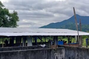 Capilla San Benito Abad, RIA. Argentina, Acacoyagua CHIS.