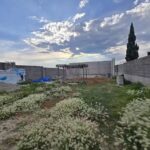 Capilla San Francisco de Paula