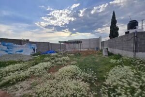 Capilla San Francisco de Paula