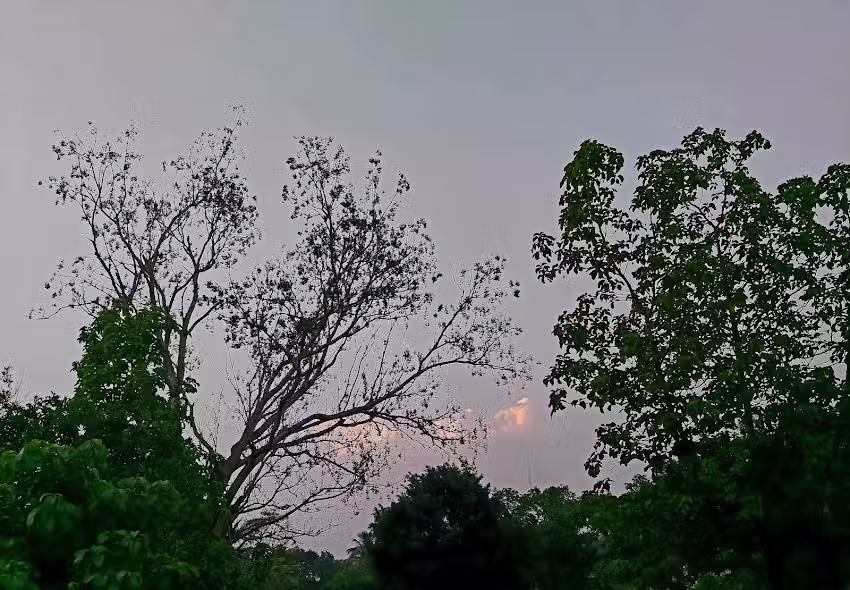 Capilla San Mart&iacute;n de Porres