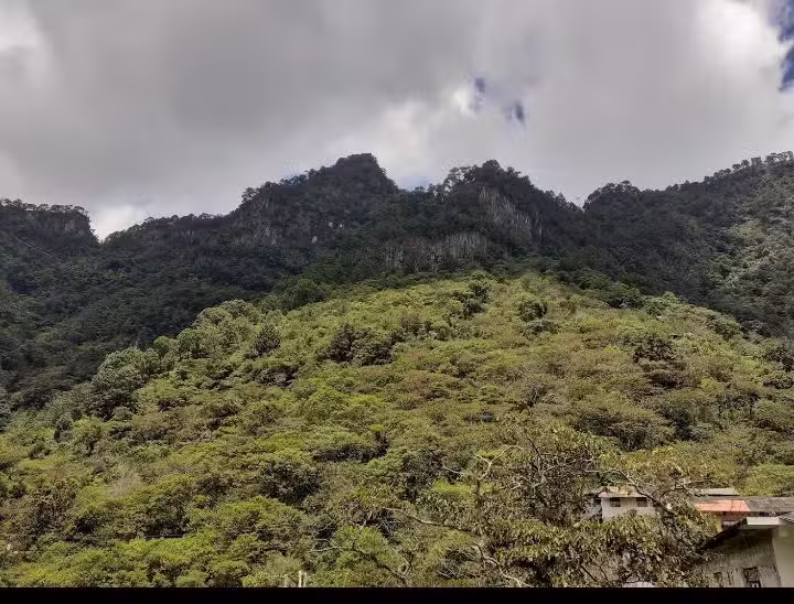 Capilla San Salvador