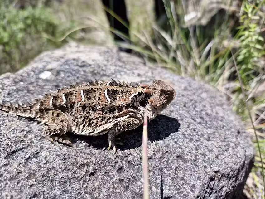 Capilla Santa Cruz de Agua Limpia