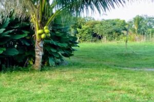 Capilla Sant&iacute;sima Trinidad