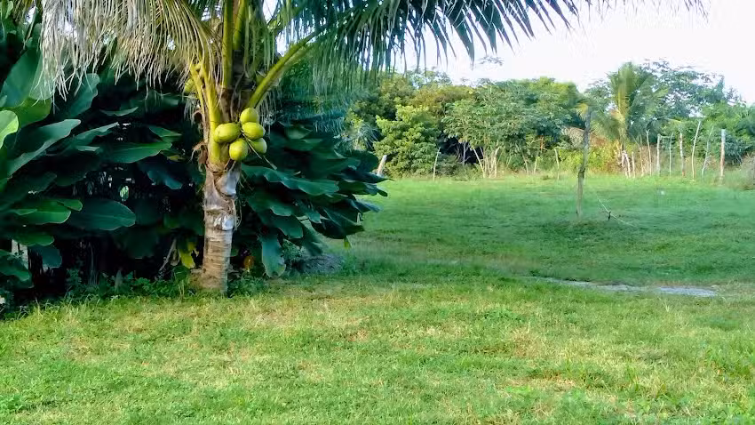 Capilla Sant&iacute;sima Trinidad