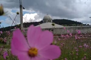 Capilla Virgen De Guadalupe