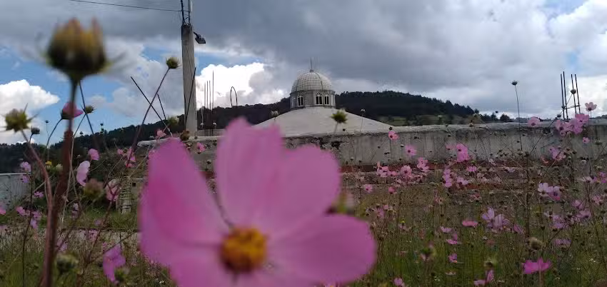 Capilla Virgen De Guadalupe