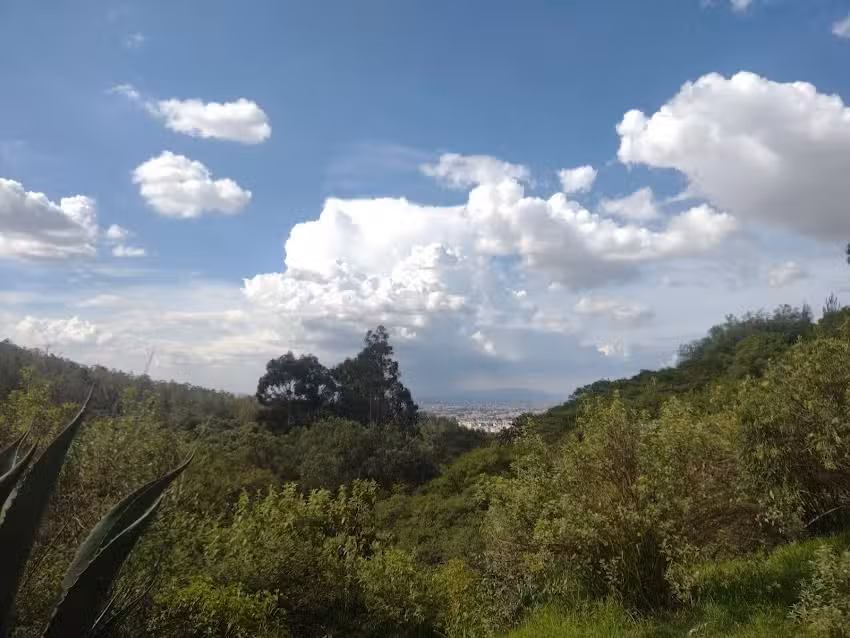 Capilla Virgen De La Paz