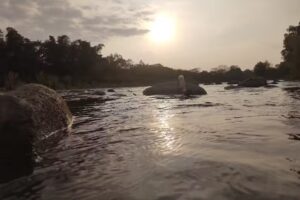 Capilla VIRGEN LIBERTAD