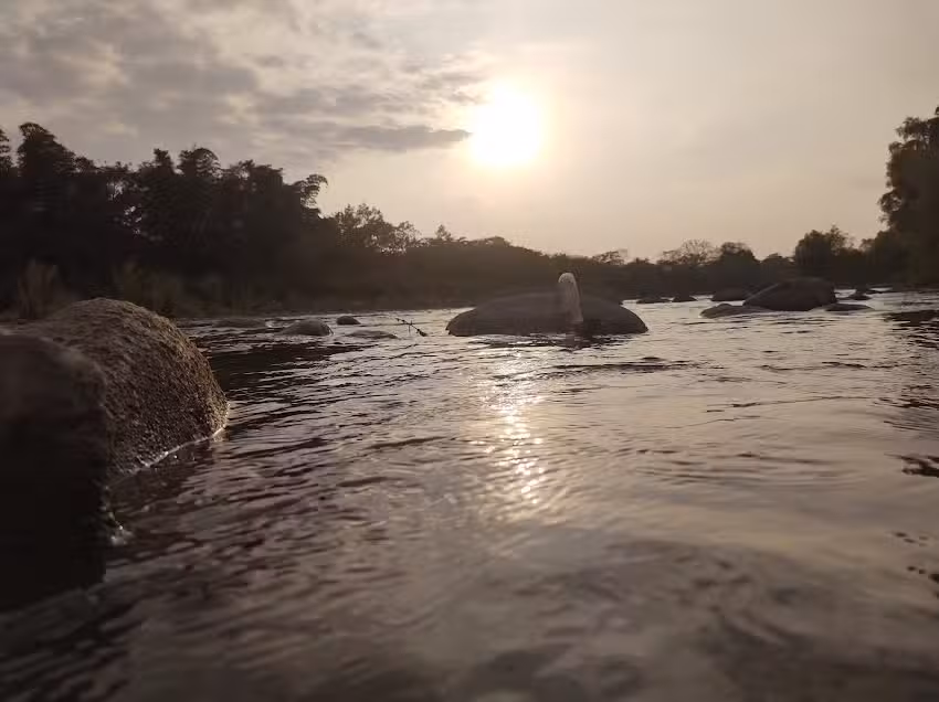 Capilla VIRGEN LIBERTAD
