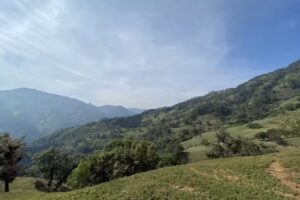 Carrizal Grande, Zacualpan Ver