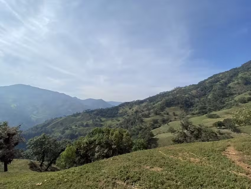 Carrizal Grande, Zacualpan Ver