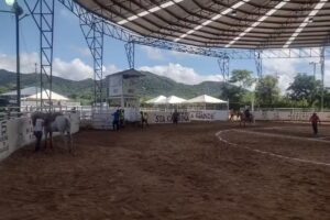 Casa Aostolica Vida Villaflores