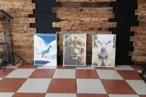 Casa de Oración #TierraDeseable