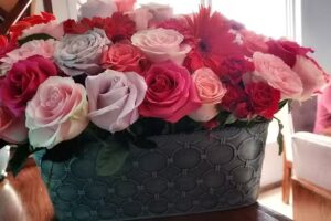 Centro Vocacional Franciscano