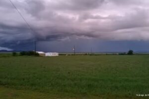 CHURCH OF GOD IN CHRIST MENNONITE