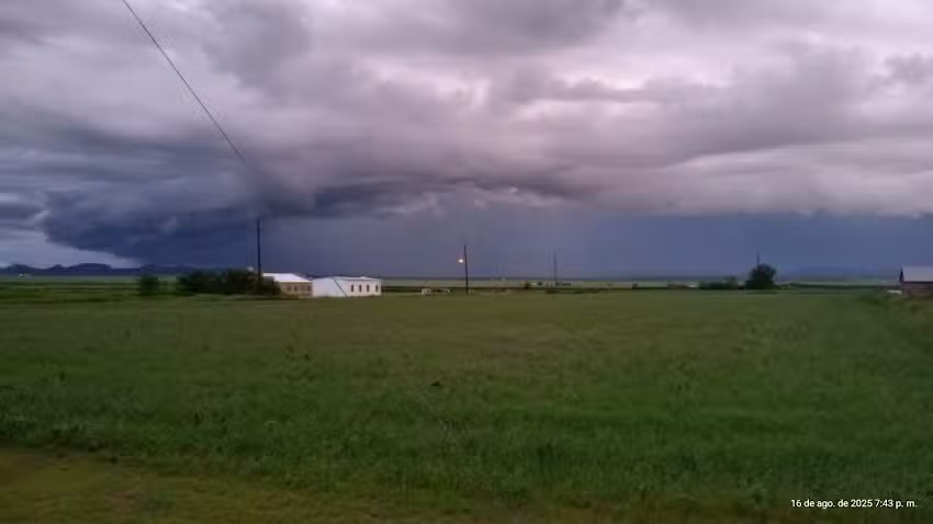 CHURCH OF GOD IN CHRIST MENNONITE