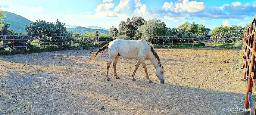 Col.Guadalupe Victoria