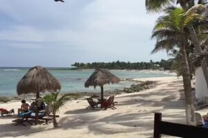 Compa&ntilde;erismo de la Riviera Maya