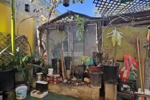 Comunidad Apostolica