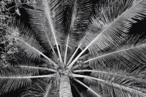 Comunidad M&aacute;s Alto