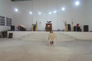 Comunidad Vida &ndash; LIFE