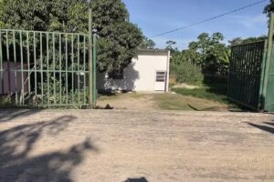 Congregaci&oacute;n Ra&iacute;ces Profundas Villahermosa