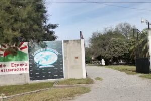 Cosecha Mundial Victoria