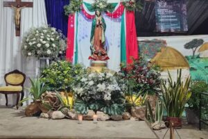 Cuasiparroquia Inmaculado Coraz&oacute;n de Mar&iacute;a