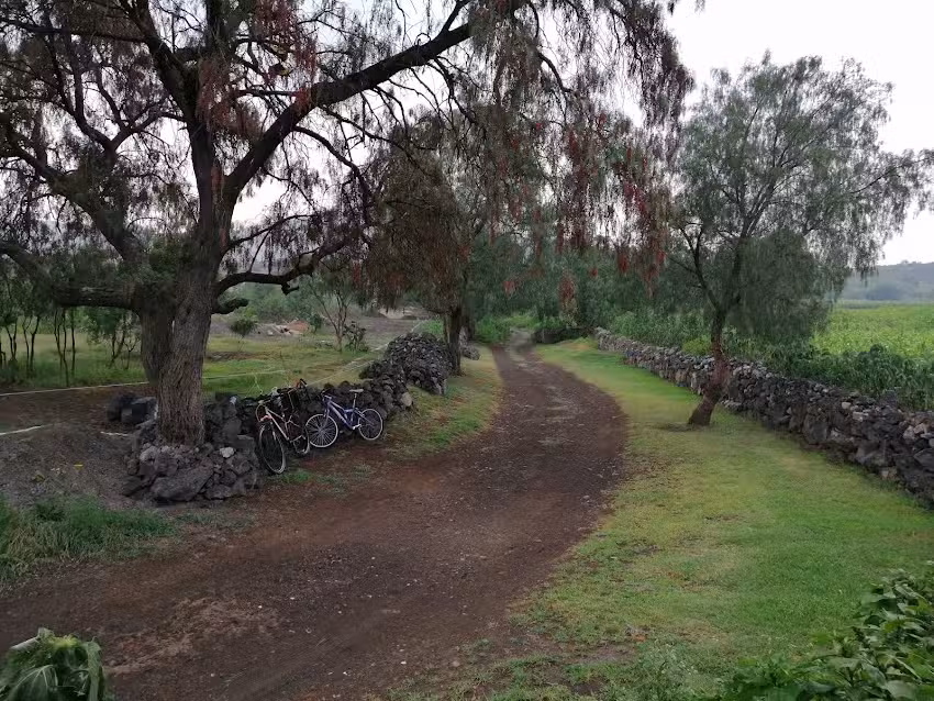 C&uacute;pula de piedra