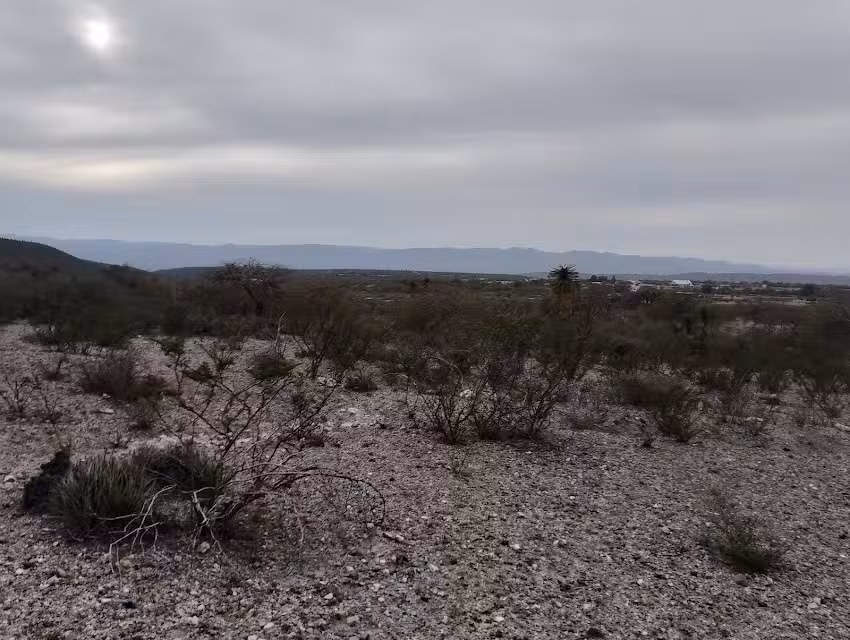 Ejido San Nicol&aacute;s