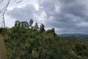 El Garru&ntilde;al Huimilpan