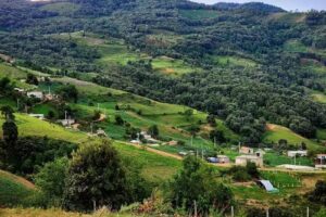 El Rinc&oacute;n peras