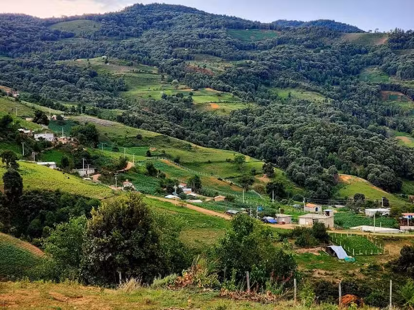 El Rinc&oacute;n peras