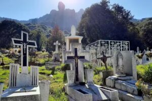 El se&ntilde;or de los laureles