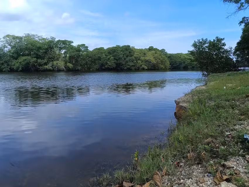 El yucateco