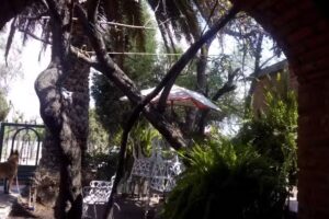 Entronque Santuario De Jesus Maria