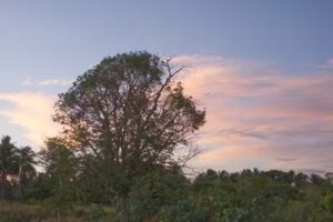 Ermita de Santa Teresa del Ni&ntilde;o Jesus