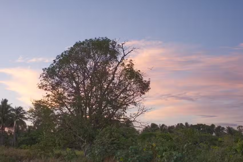 Ermita de Santa Teresa del Ni&ntilde;o Jesus