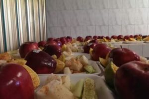 Estaca Independencia