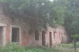 Estaci&oacute;n Olea