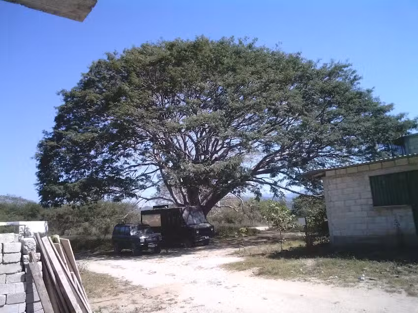 Evolution Church Vallarta