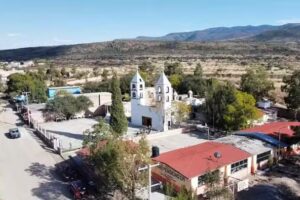 FLORES DE BEGO&Ntilde;A.