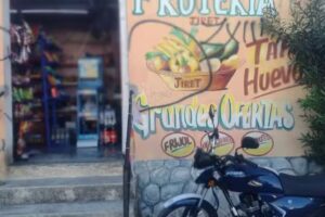 Fruter&iacute;a Jiret