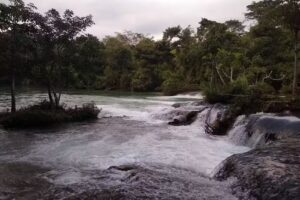 Guadalupe – La Arena