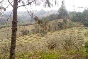 Hermita Primera de Xaltepec