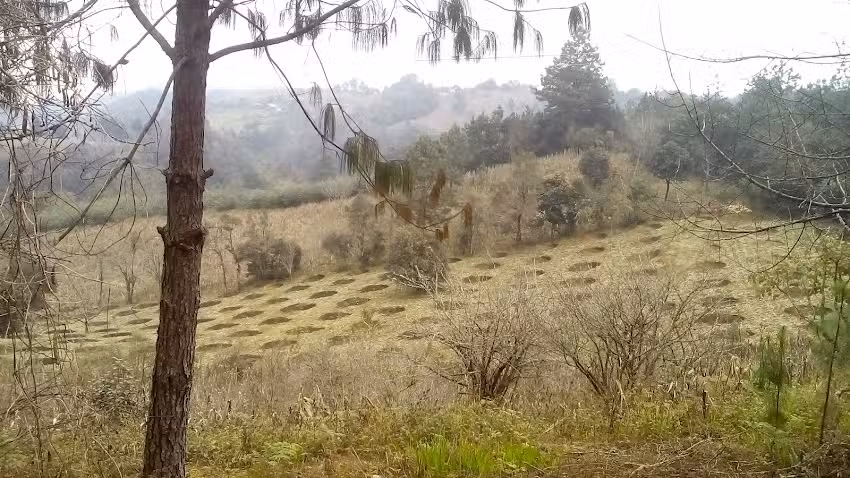 Hermita Primera de Xaltepec