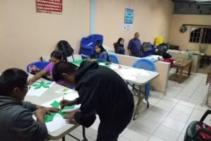 ICIAR Lirio de los Valles