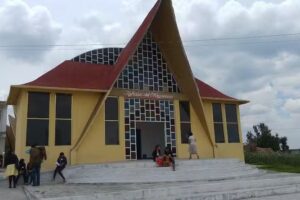 IDN Lirio de los Valles