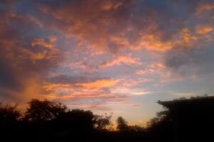 IDN Vicente Guerrero